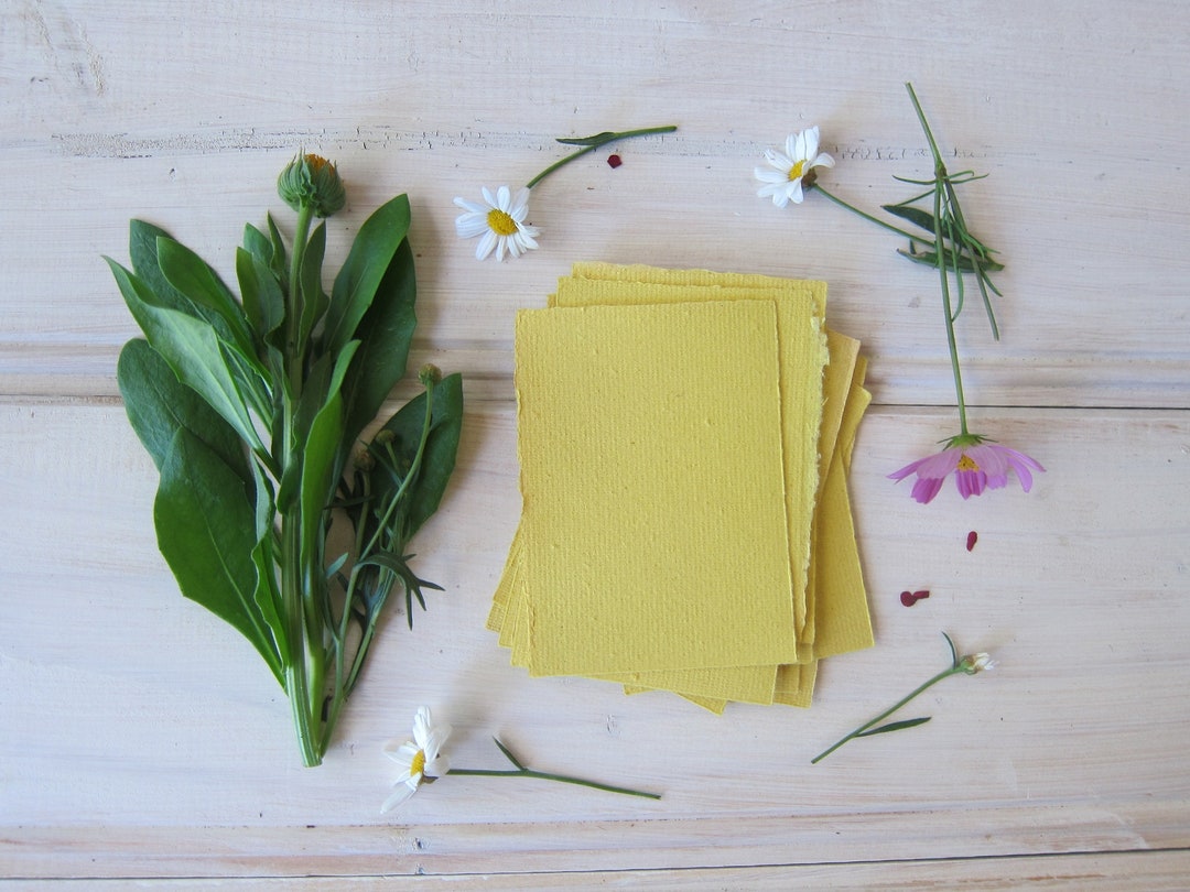 16 Turmeric Dyed Paper Sheets / Recycled Paper Stationery / Decorative