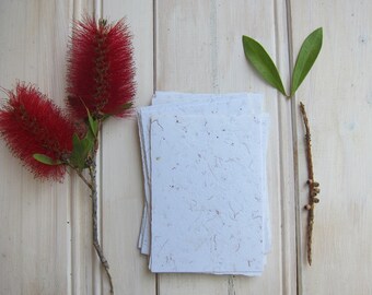May include: A stack of white handmade paper with flecks of natural fibers, a sprig of red bottlebrush flowers, a small twig with green leaves, and a brown twig with small brown seed pods on a white wood background.