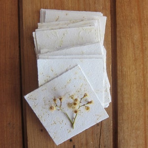 Eucalyptus blossom note paper / Handmade recycled paper / Australian Botanical stationery / Flower petal paper / 12 pieces /  7 x 7cm