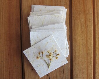 Eucalyptus blossom note paper / Handmade recycled paper / Australian Botanical stationery / Flower petal note paper / 12 pieces /  7 x 7cm
