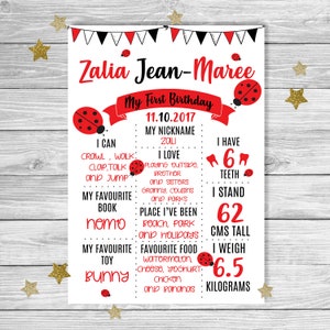 Personalised | LADY BUG Baby Girl First Birthday Milestone Board