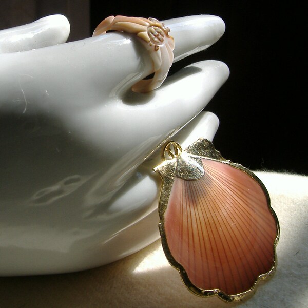 Shell ring and Gold Dipped shell necklace charm