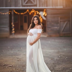 Mesh Maternity Dress