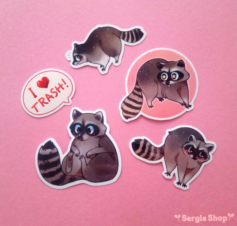 Cute Raccoons Sticker Set - Etsy