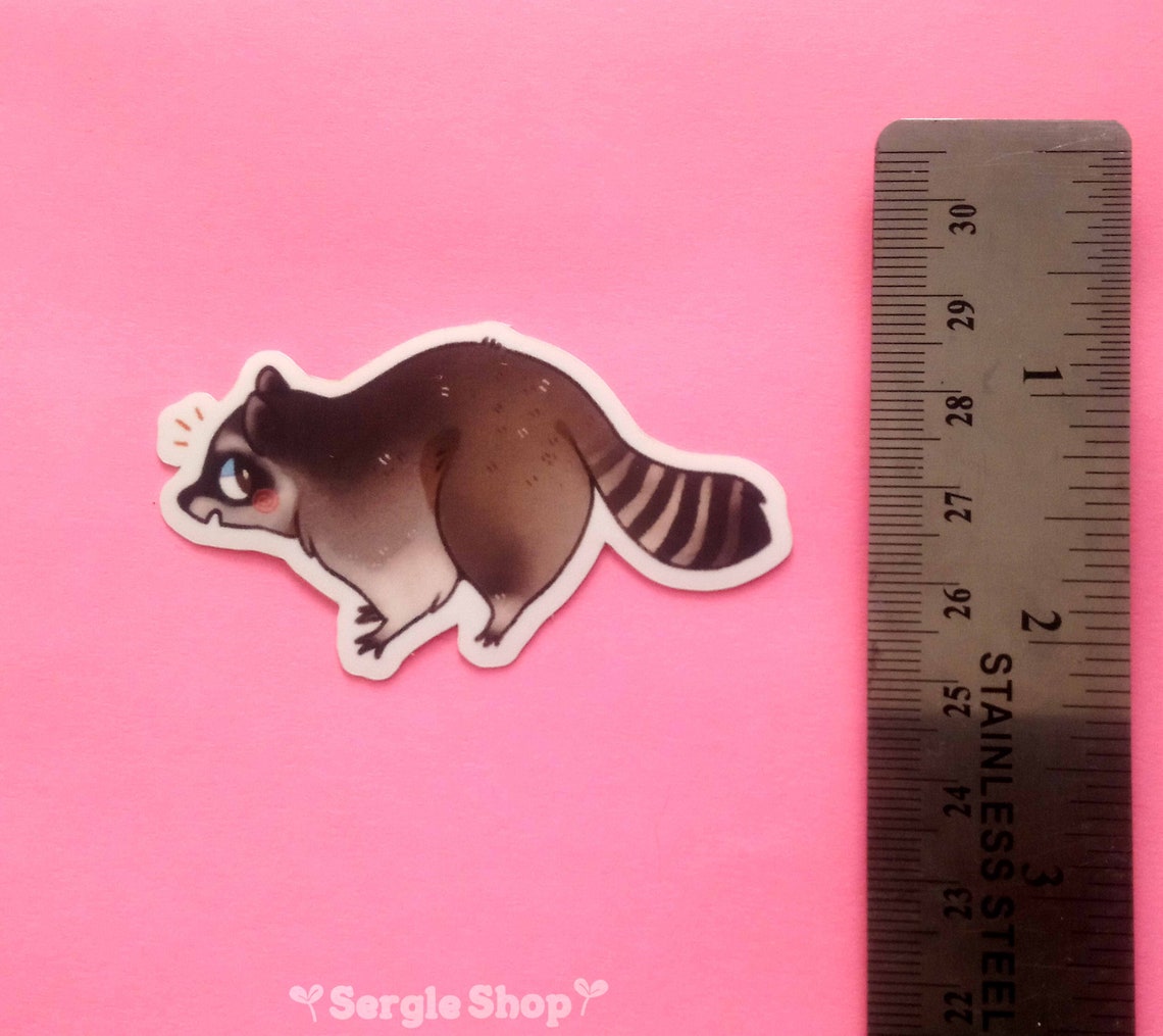 Cute Raccoons Sticker Set | Etsy