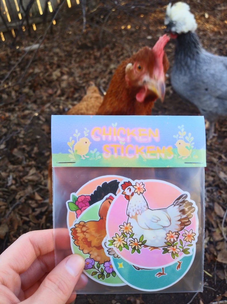 Floral Chicken Sticker Set image 2