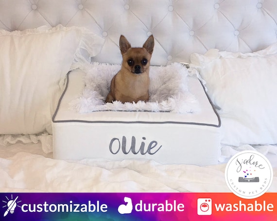 Essential bed for dog Smartphone Apps