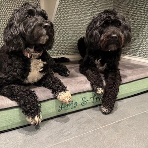 custom size memory foam dog bed cushion with name embroidery. Two happy pups