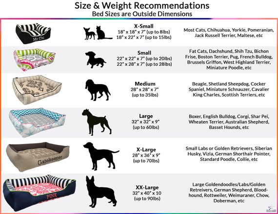 cocker spaniel bed size
