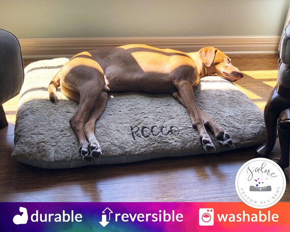 dog bed cushion insert