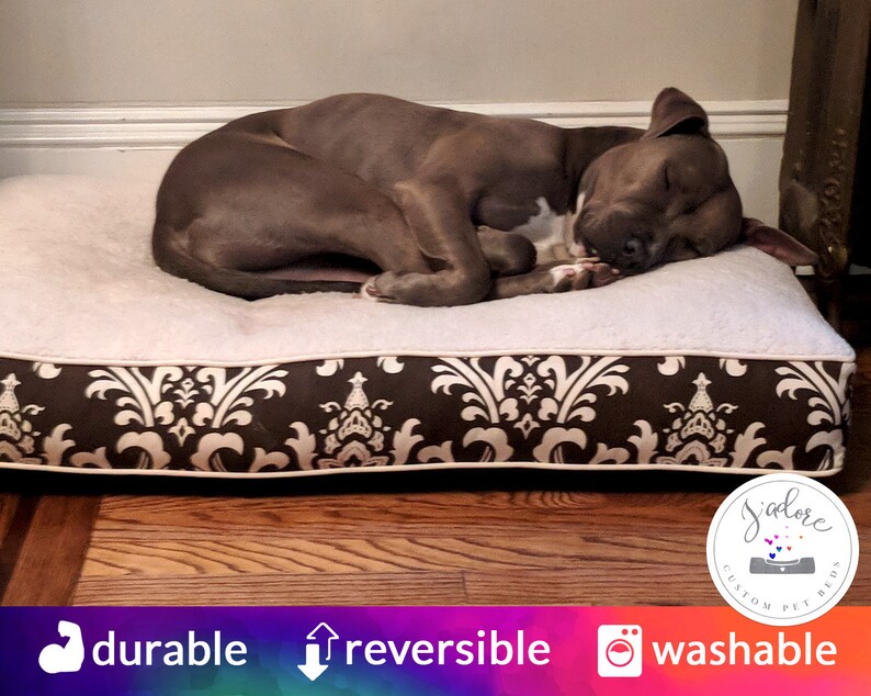 Custom Dog Bed Cushion Comfy Cozy Supportive Xsmall Etsy