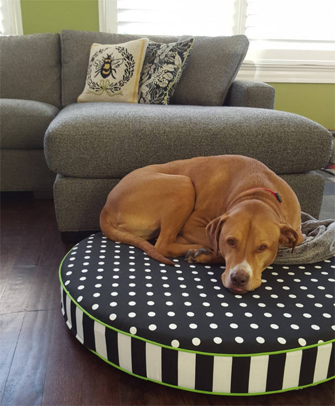 Round Dog Bed with Insert Chartreuse Green Gray Navy Blue Etsy