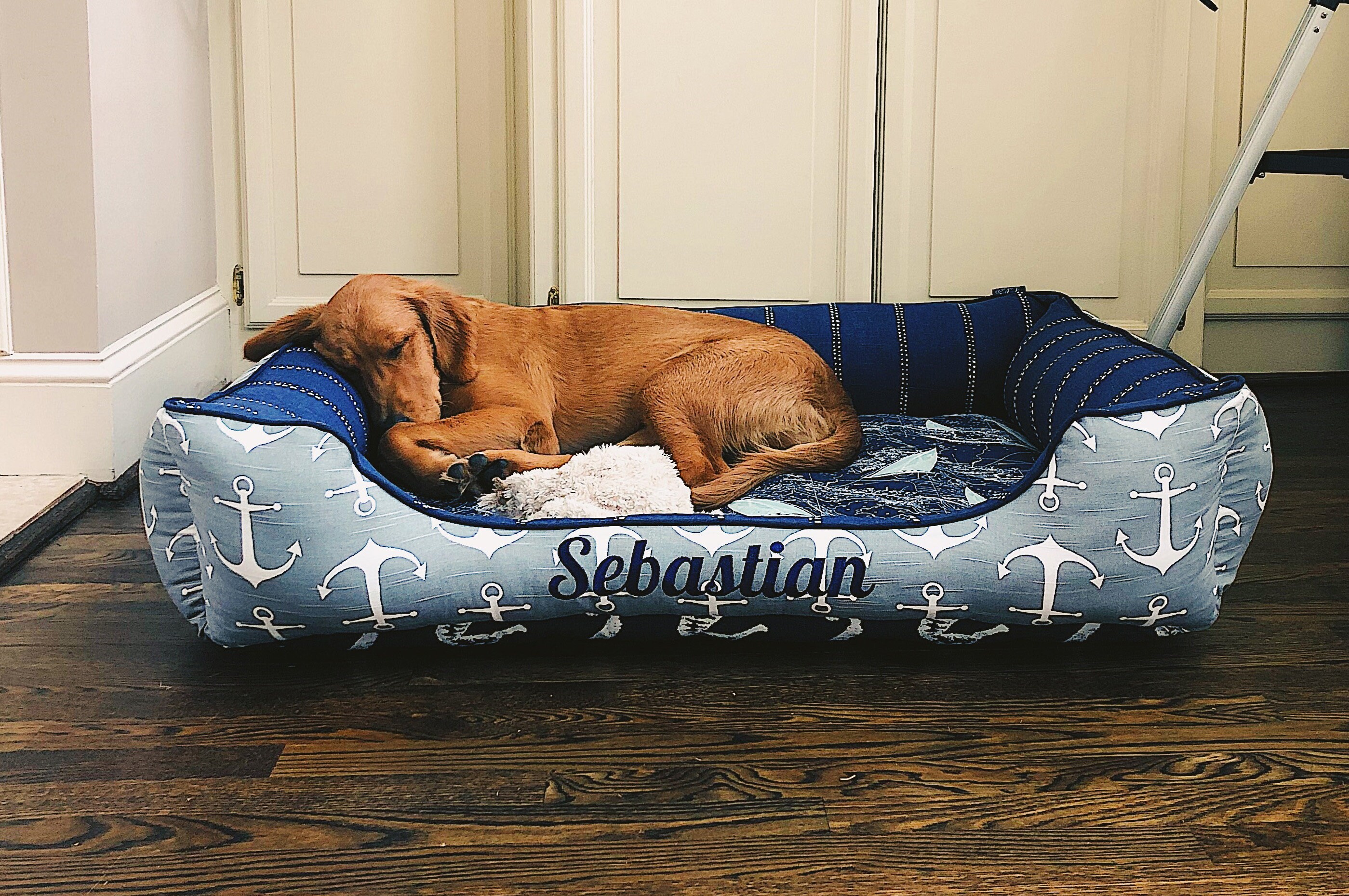 Nautical Dog Bed Custom Dog Bed with Removable Cover Etsy