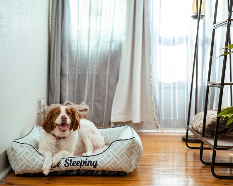 custom cuddle dog bed in size large