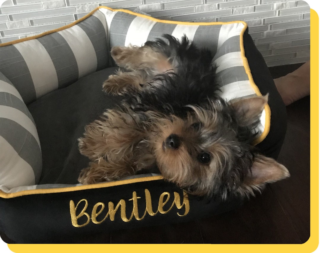 Custom Dog Bed With Sides Small to Large Personalized Cute Etsy