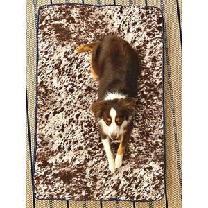aussie enjoying their custom size bed