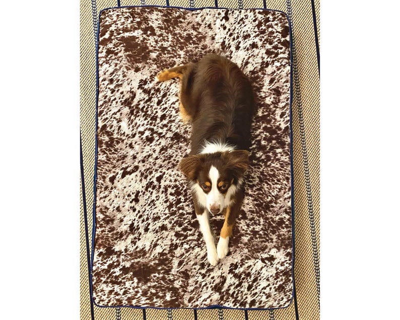 aussie enjoying their custom size bed