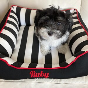 Ruby looking stylish in her new bed