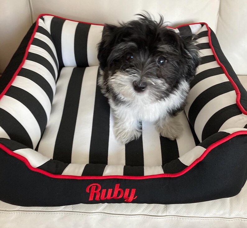 Ruby looking stylish in her new bed