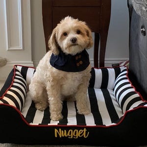 Nugget showing off his new 28x28 cuddle bed