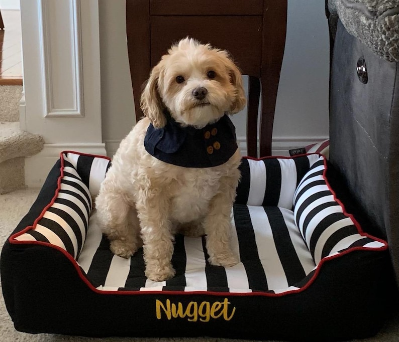 Nugget showing off his new 28x28 cuddle bed