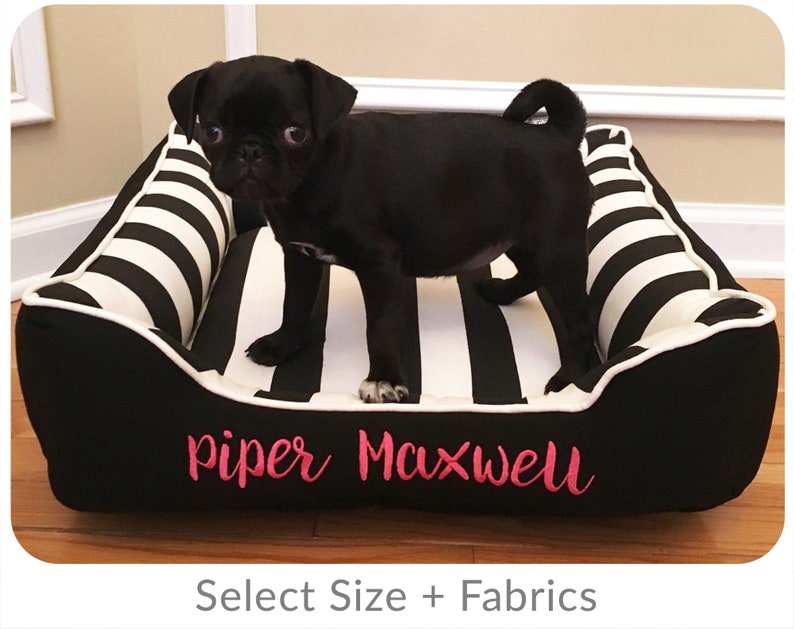 Black Pug looking cute in his new black white striped dog bed