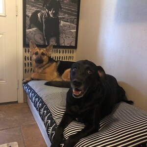 custom size fiberfill dog bed for mud room