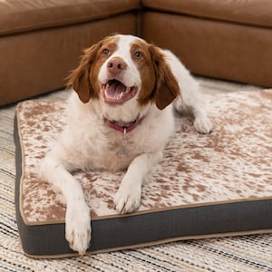 orthopedic large dog bed with memory foam