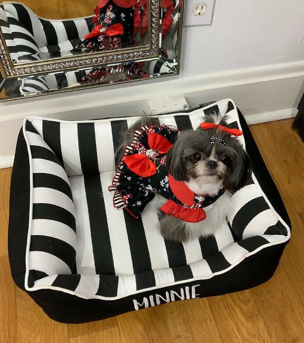 Black and white striped dog bed hotsell