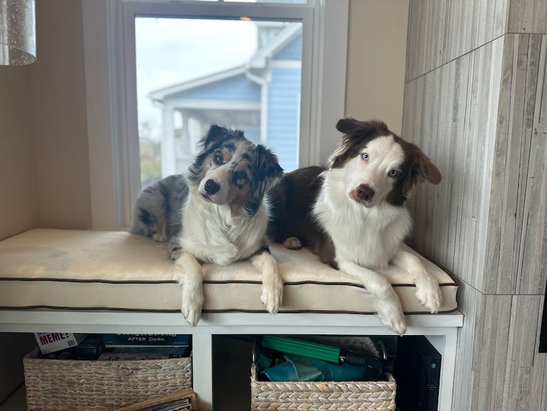 custom size window seat dog bed with memory foam. two happy aussies!