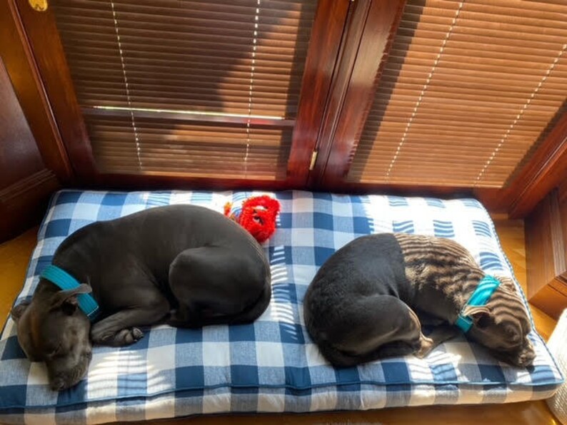 two dogs enjoying their custom size buffalo plaid dog bed