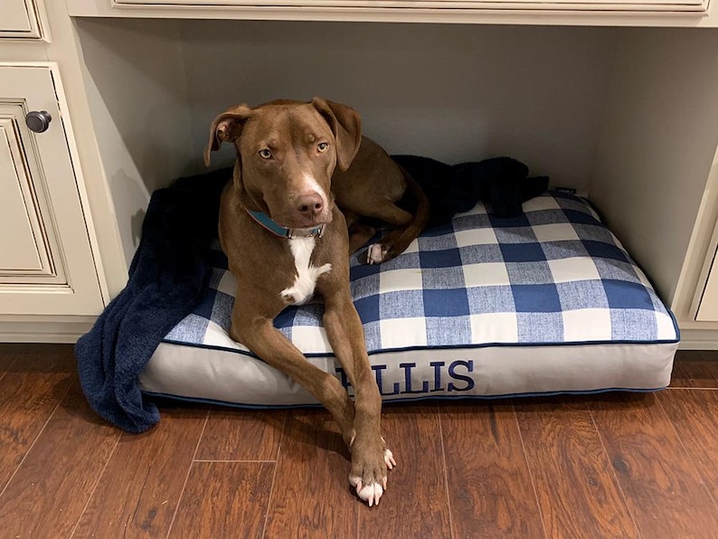 Ellis enjoying his custom bed