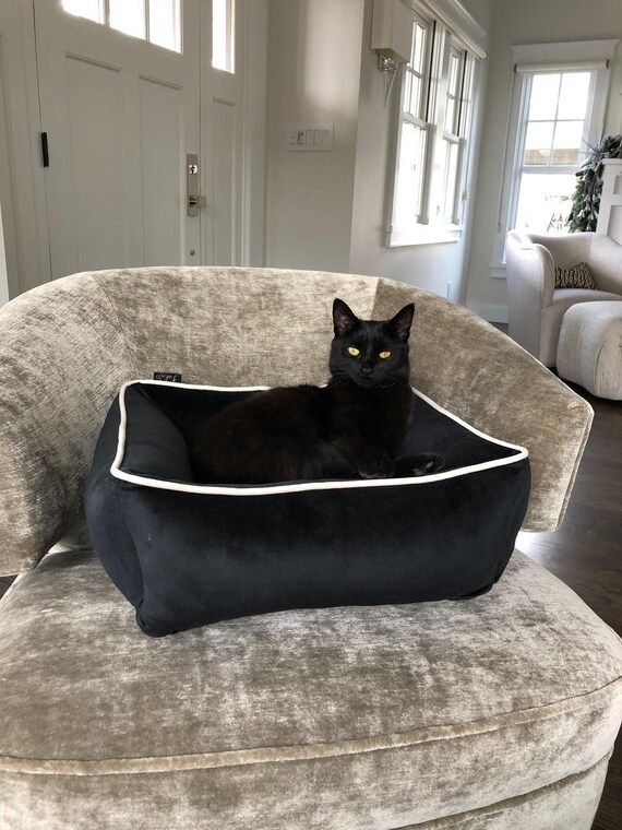 custom cat beds