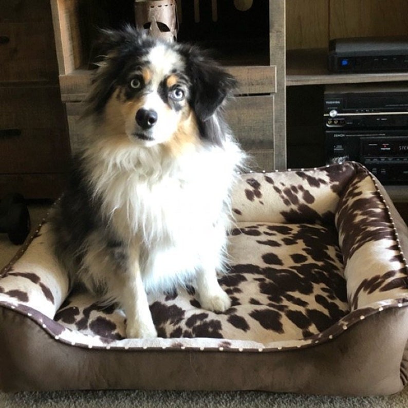 Cow print Dog Bed Southwest Dog Bed Faux Cowhide Etsy