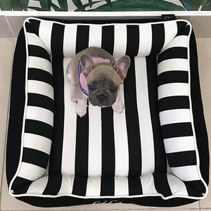 Top view of a 22x22 cuddle bed