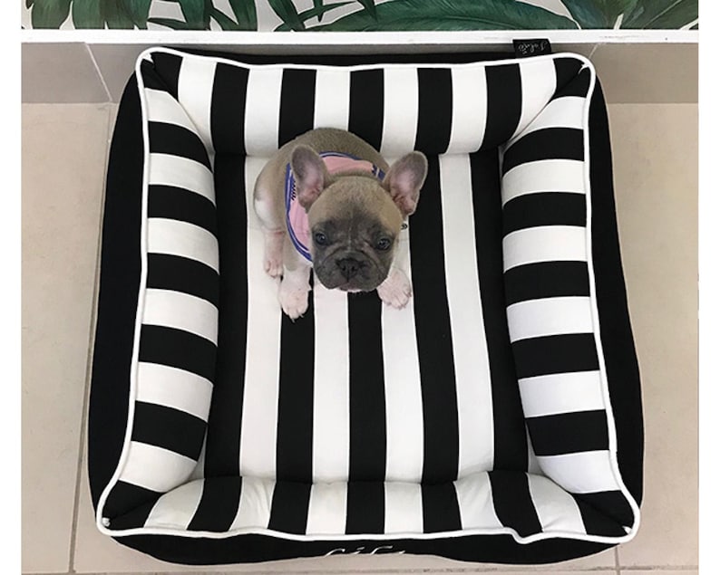 Top view of a 22x22 cuddle bed