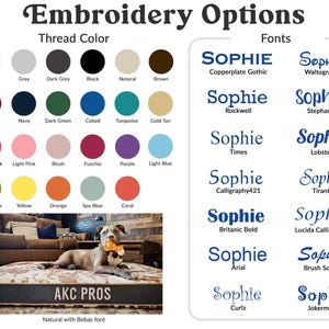 Embroidery font and thread color options