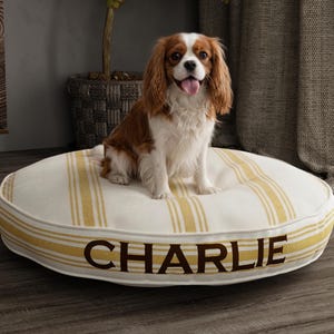 Può includere: Un Cavalier King Charles Spaniel è seduto su un letto per cani color crema con strisce gialle. Il letto ha il nome "CHARLIE" ricamato in marrone. Il cane ha il pelo marrone e bianco e guarda la fotocamera.