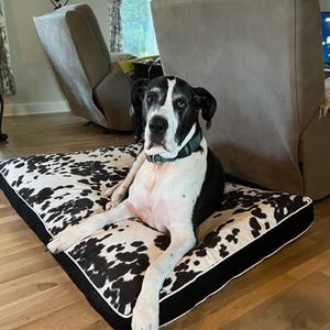 udder black extra large 52x36 cushion with fiberfill.