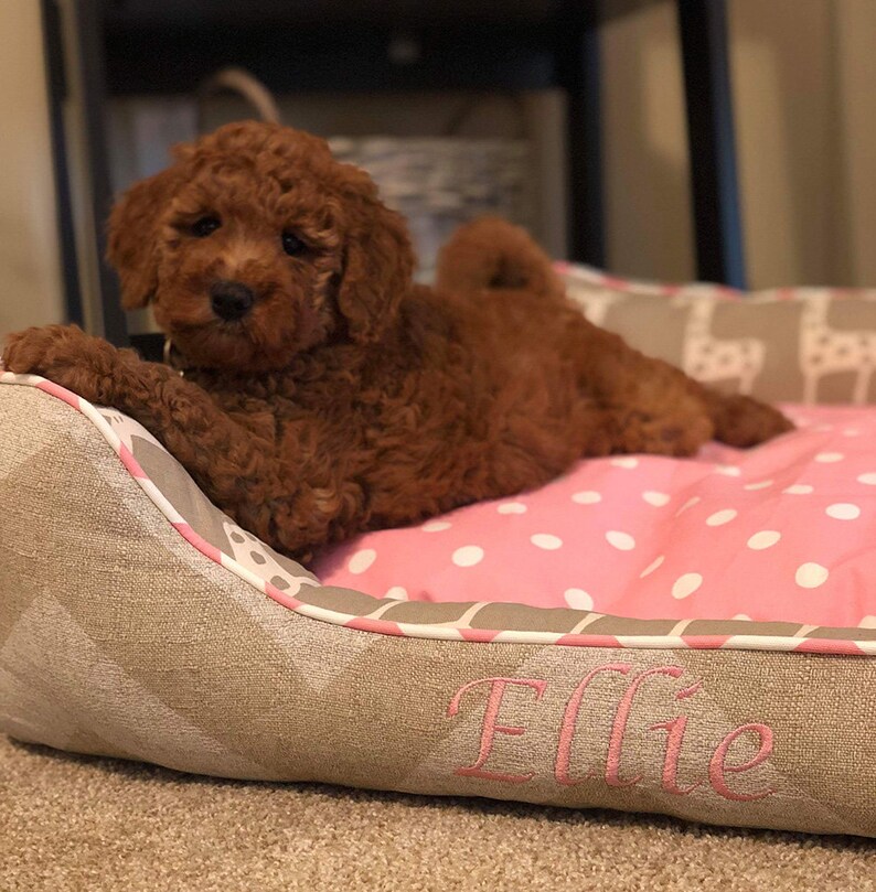 Personalized Dog Bed Pink Dog Beds Small Dog Beds Girly Pet Etsy