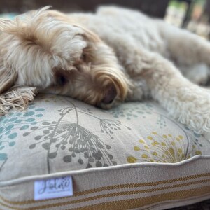 very comfy pup on their custom bed