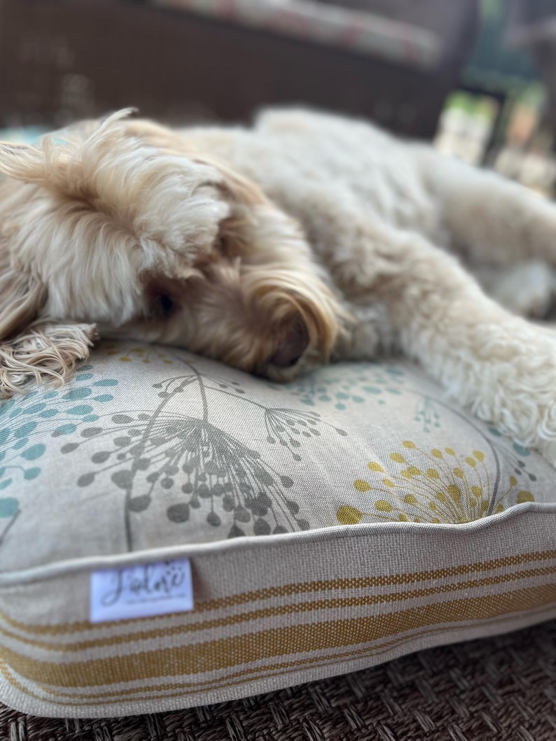 very comfy pup on their custom bed