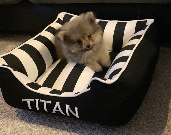 titan dog bed