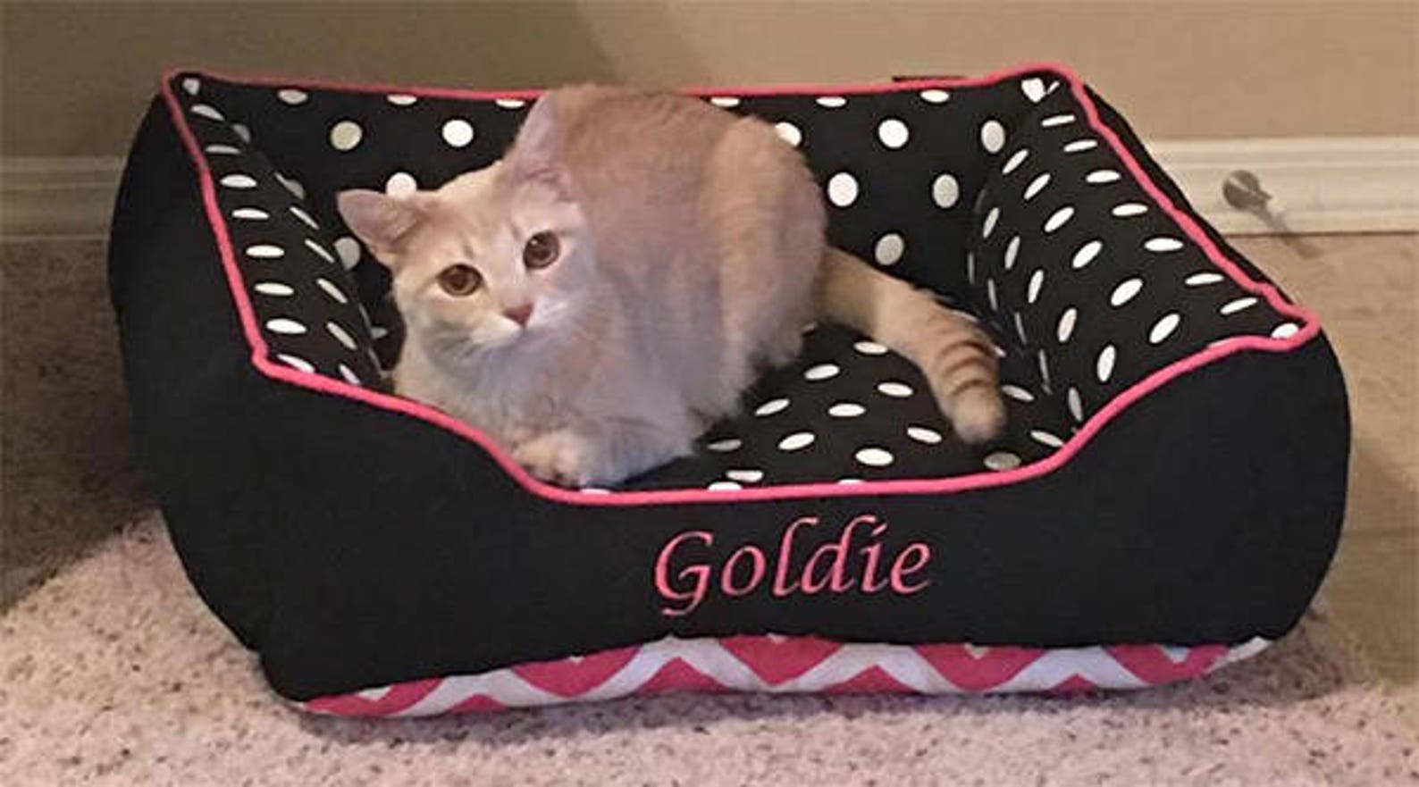 Custom Cat Bed Cute Cat Beds Best Cat Beds Gift for My Cat Etsy