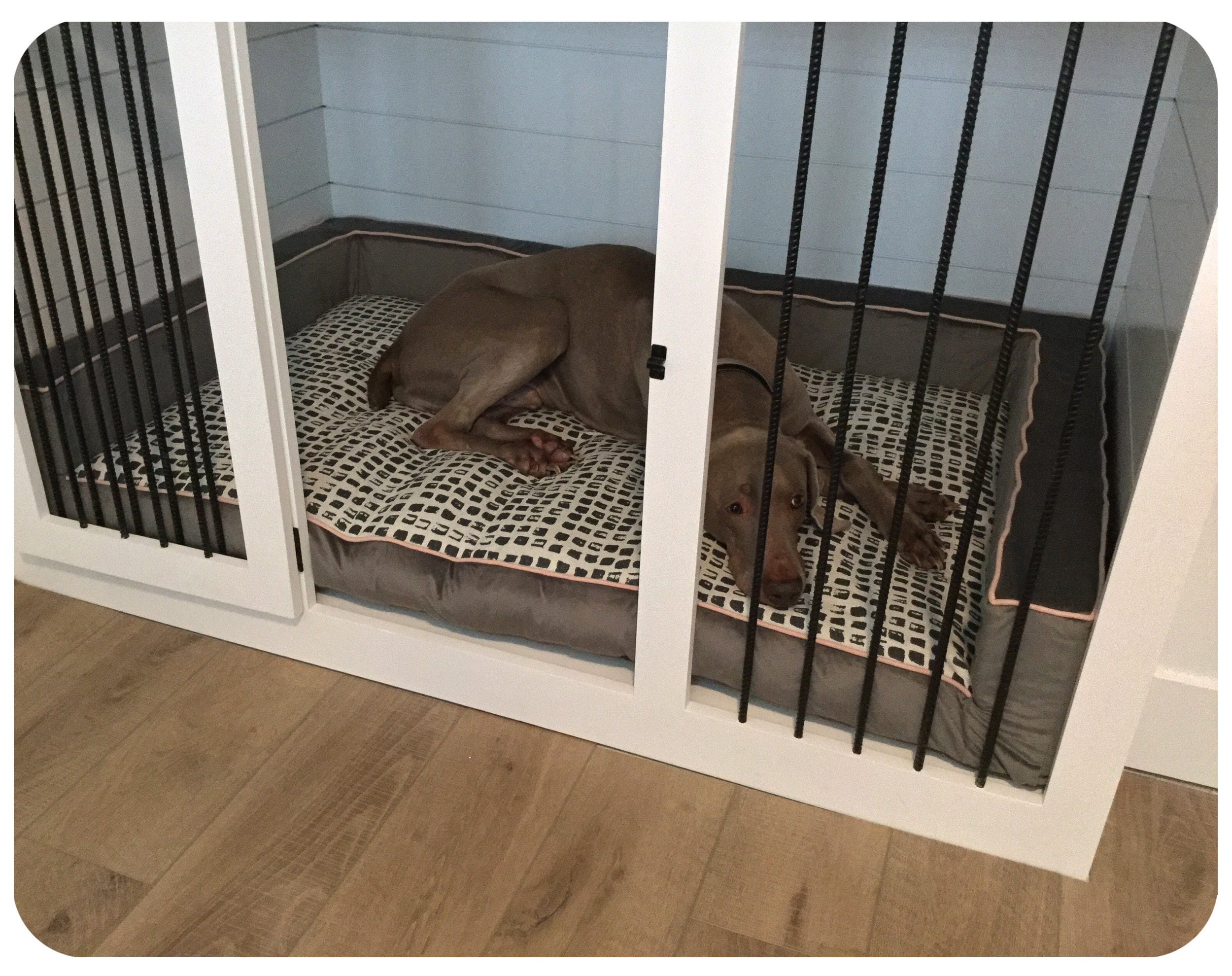 Custom Size Built-In Cabinet Dog Bed, Fiberfill Or Memory Foam Seat, Washable Removable Cover - Handmade To Order in Usa