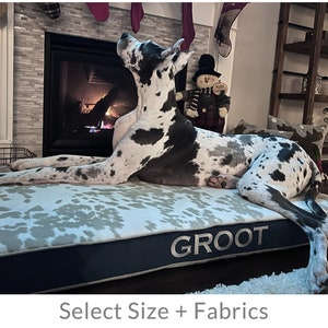 Great dane elevated bed discount