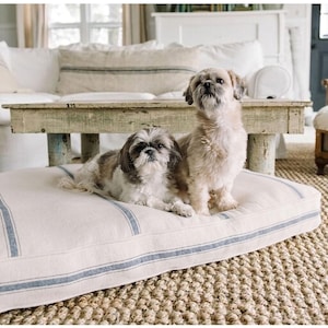 Può includere: Una cuccia rettangolare per animali domestici in tessuto color crema con due distinte strisce verticali blu sulla superficie superiore. Il letto presenta un design spesso e imbottito con bordi profilati, offrendo riposo a due cani.