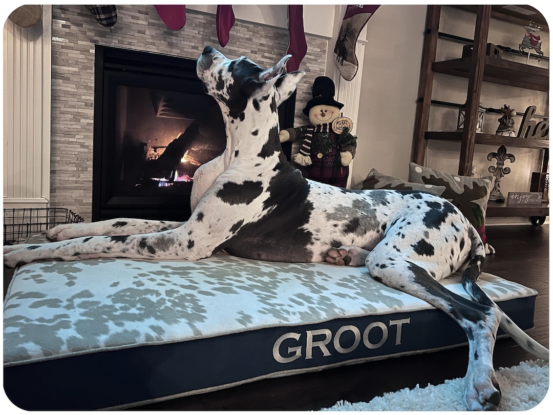 X-large Dog Bed for Giant Breed Dogs, Faux Cowhide Farmhouse Decor
