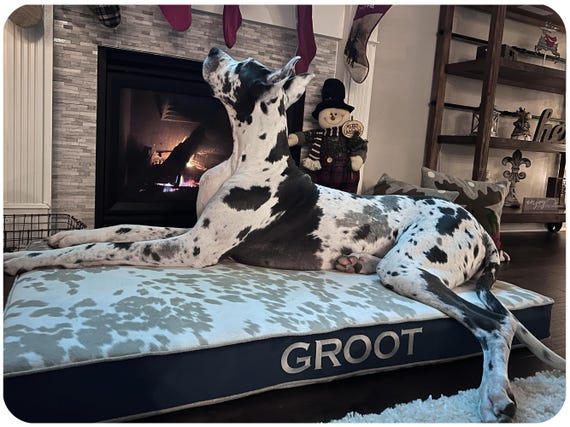 X-Large Dog Bed for Giant Breed Dogs, Faux Cowhide Farmhouse Decor - Washable