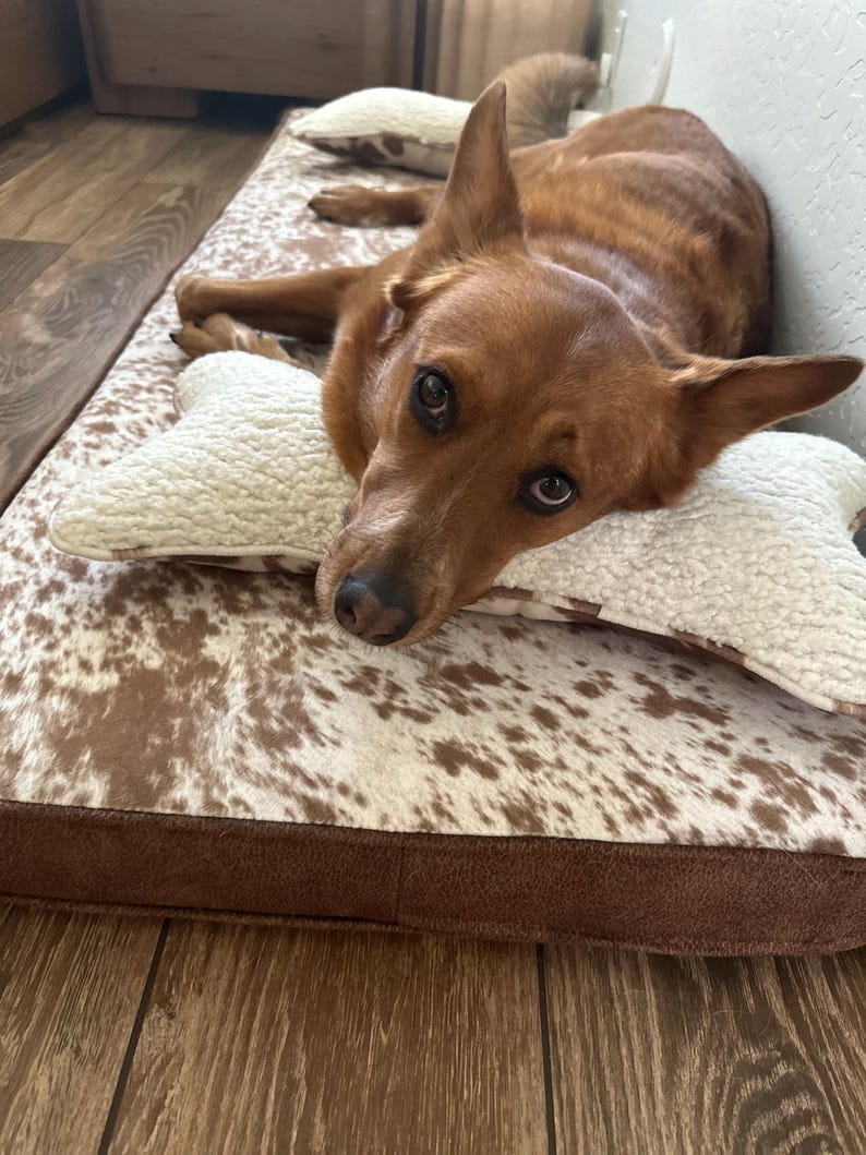 pup enjoying their custom size dog bed with bone pillows